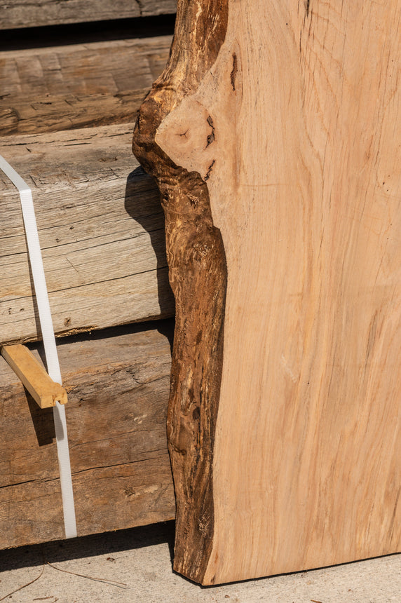 Red Oak Live Edge Slab 02
