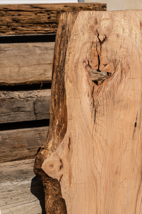 Red Oak Live Edge Slab 02