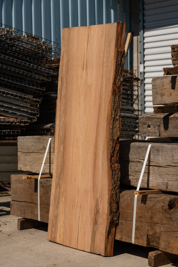 Red Oak Live Edge Slab 04